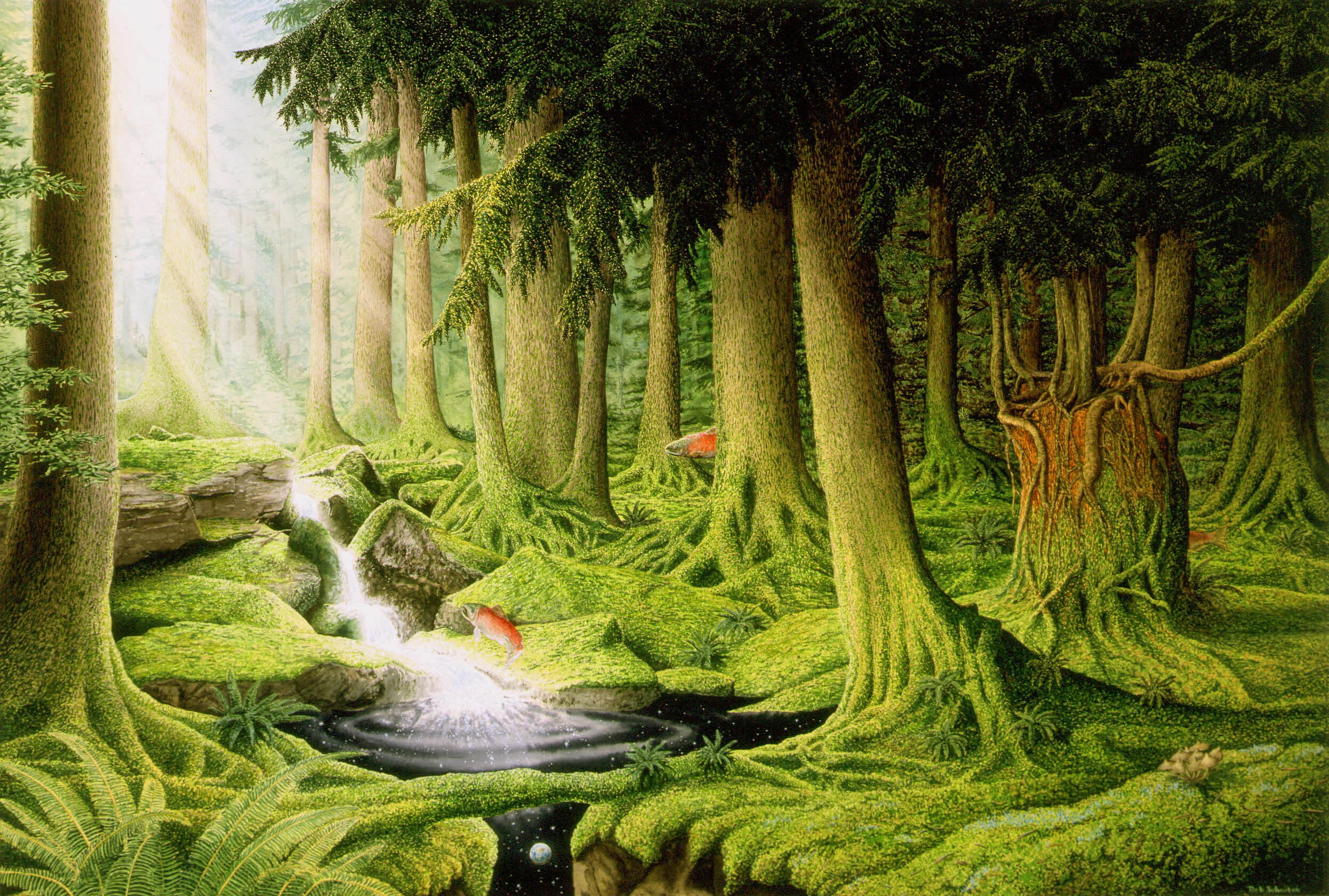 In the Deep Woods - Greeting Card — Rob Schouten Gallery